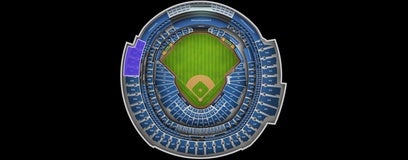 Seat view from 500 Outfield
