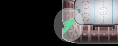 Seat view from Section