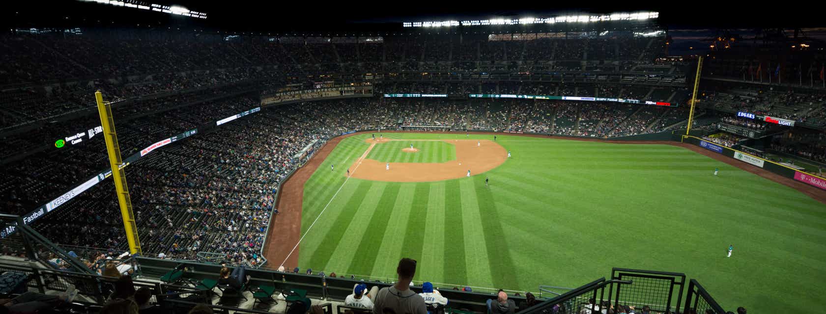 Seat view from View Level