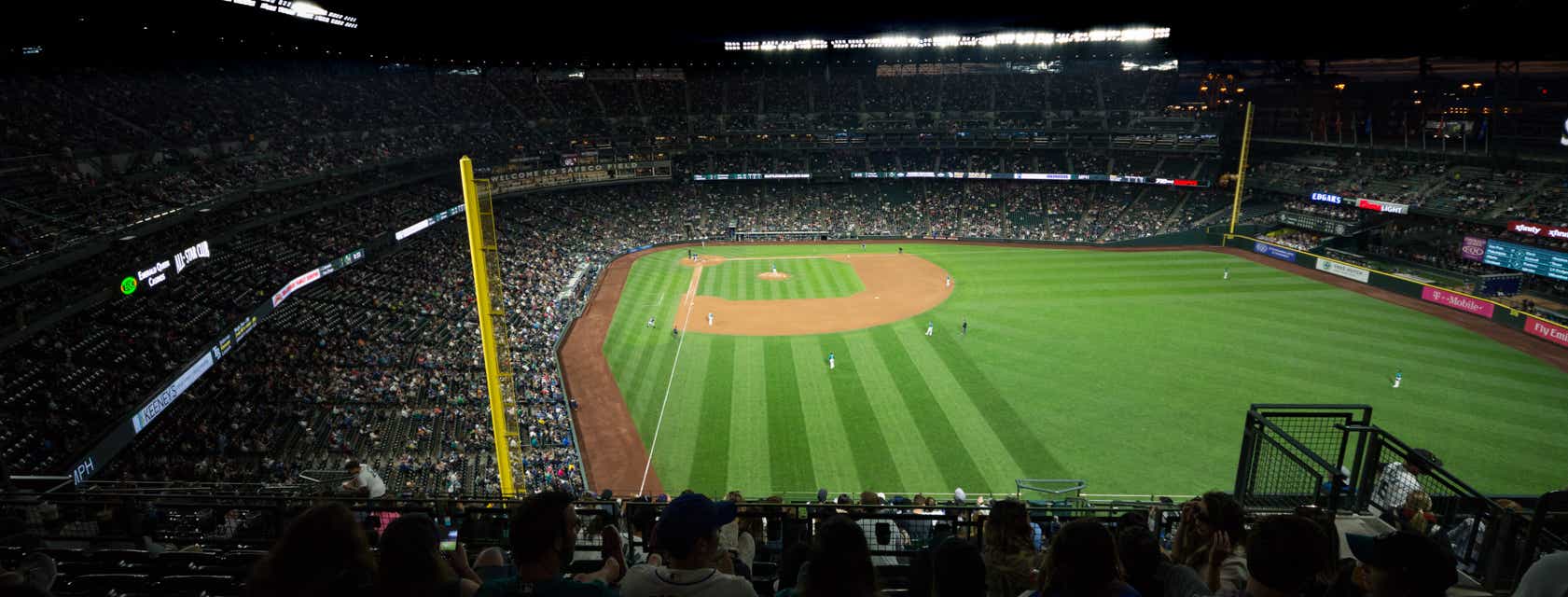 Seat view from View Level