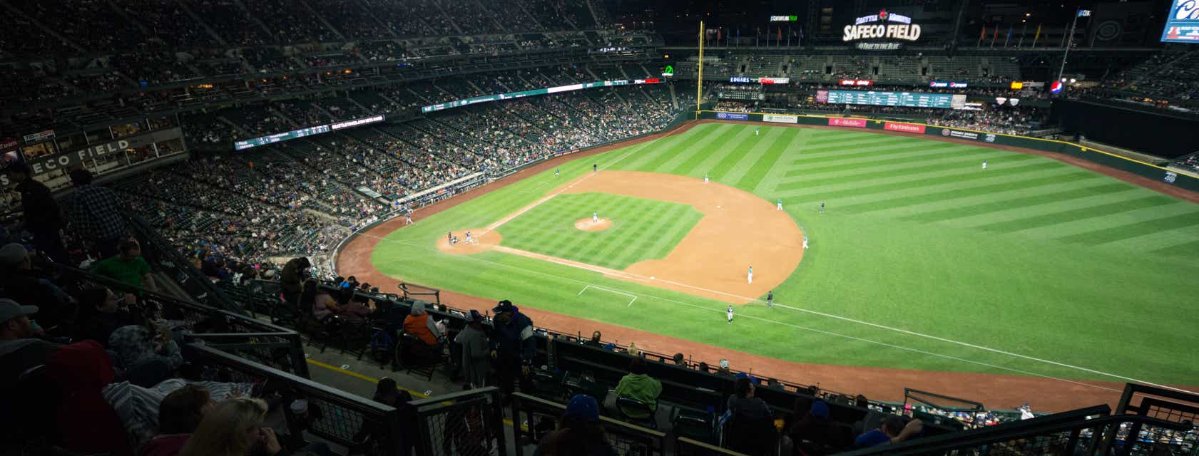 Seat view from View Level