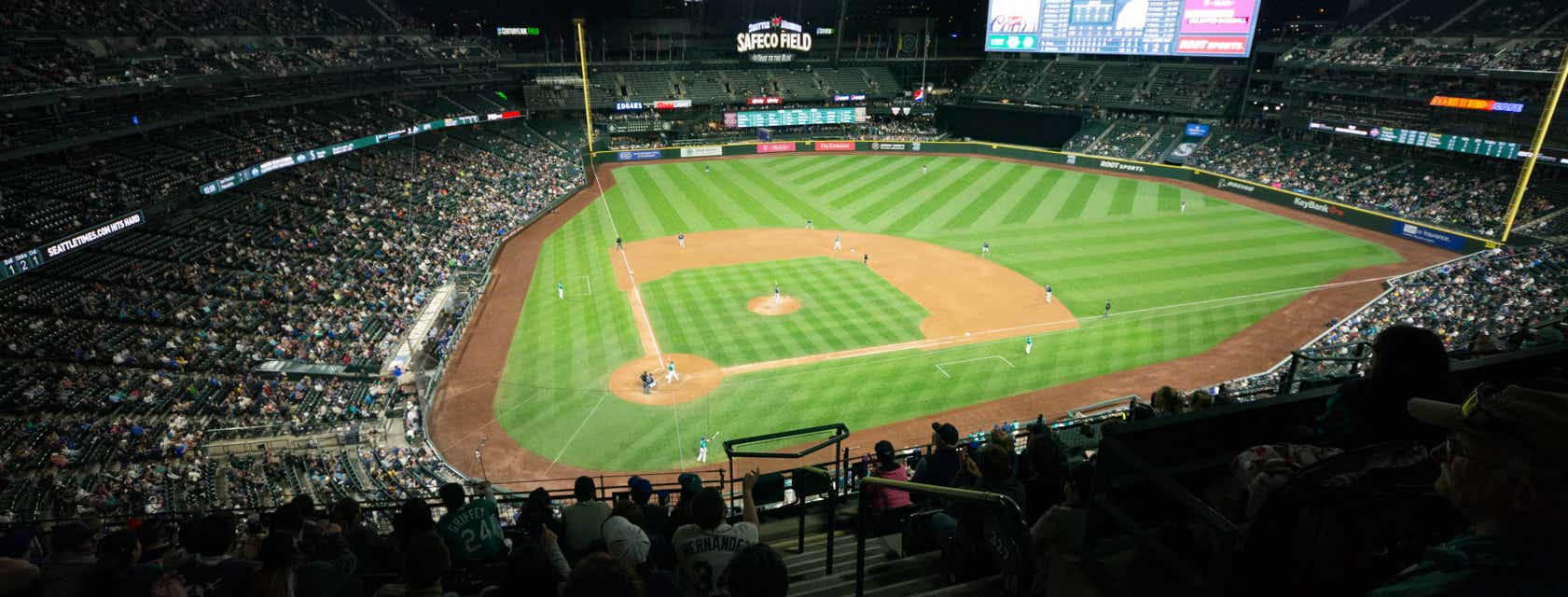 Seat view from View Level