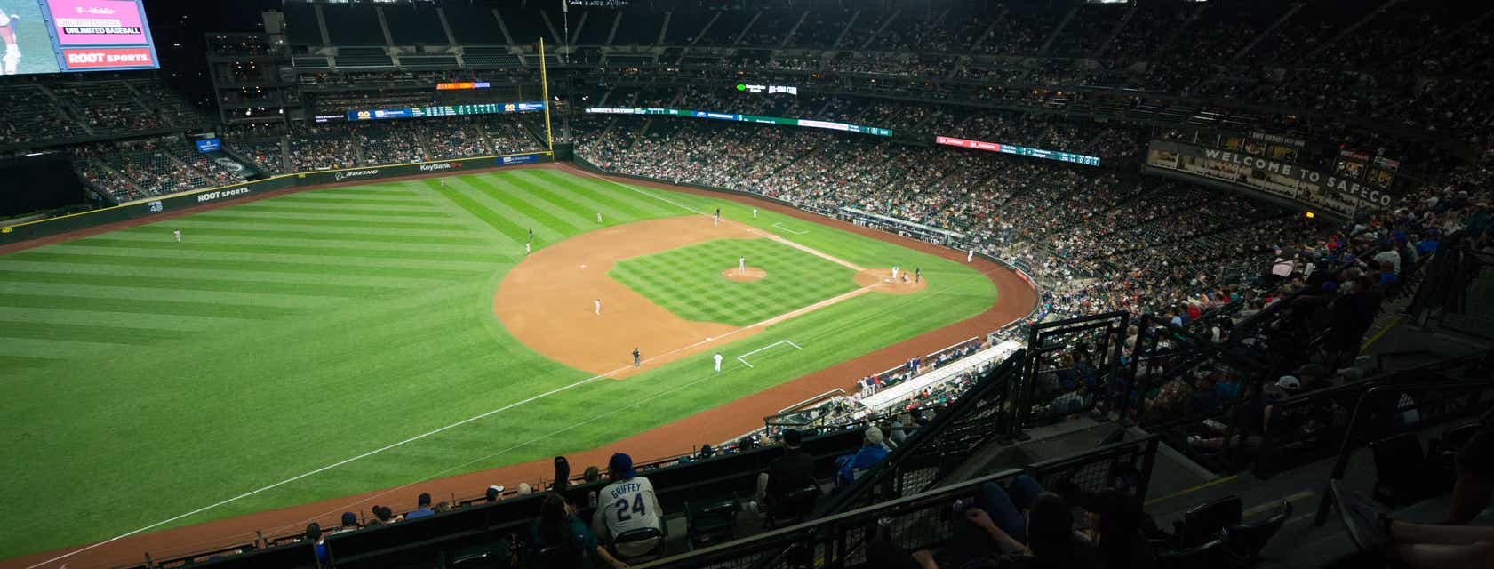 Seat view from View Level