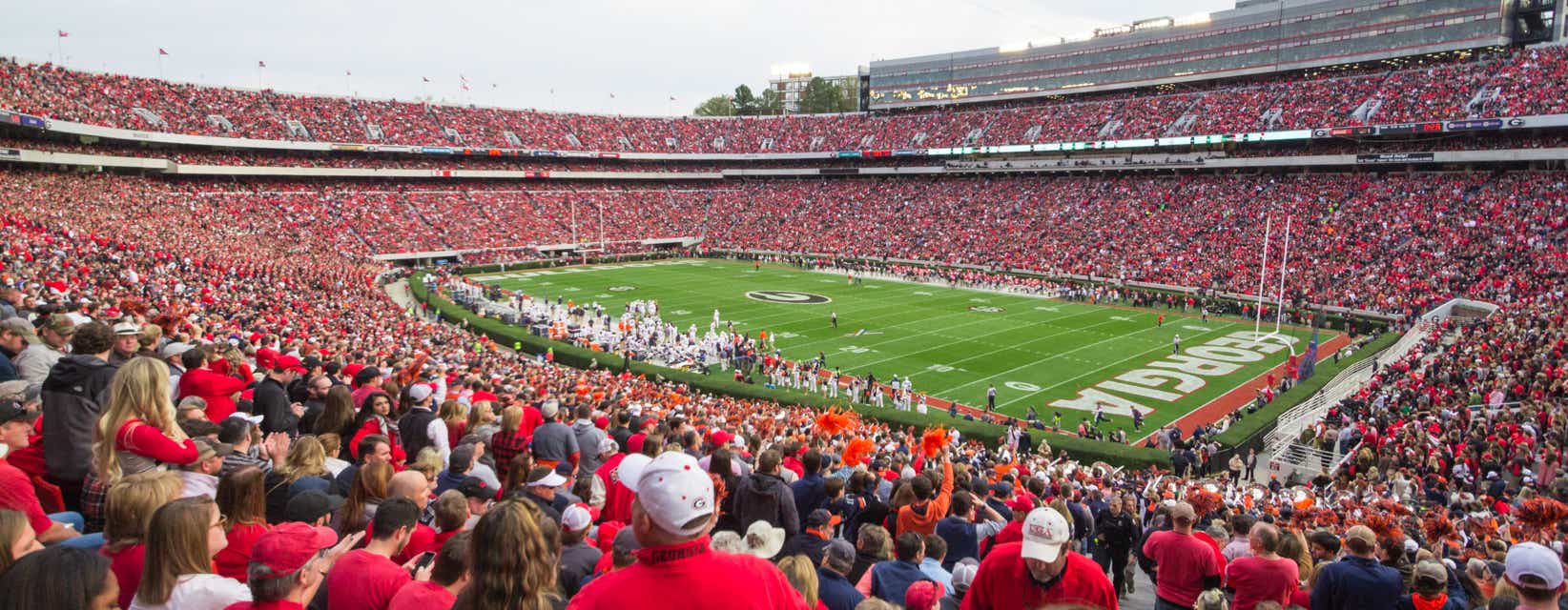 Seat view from Lower Sideline