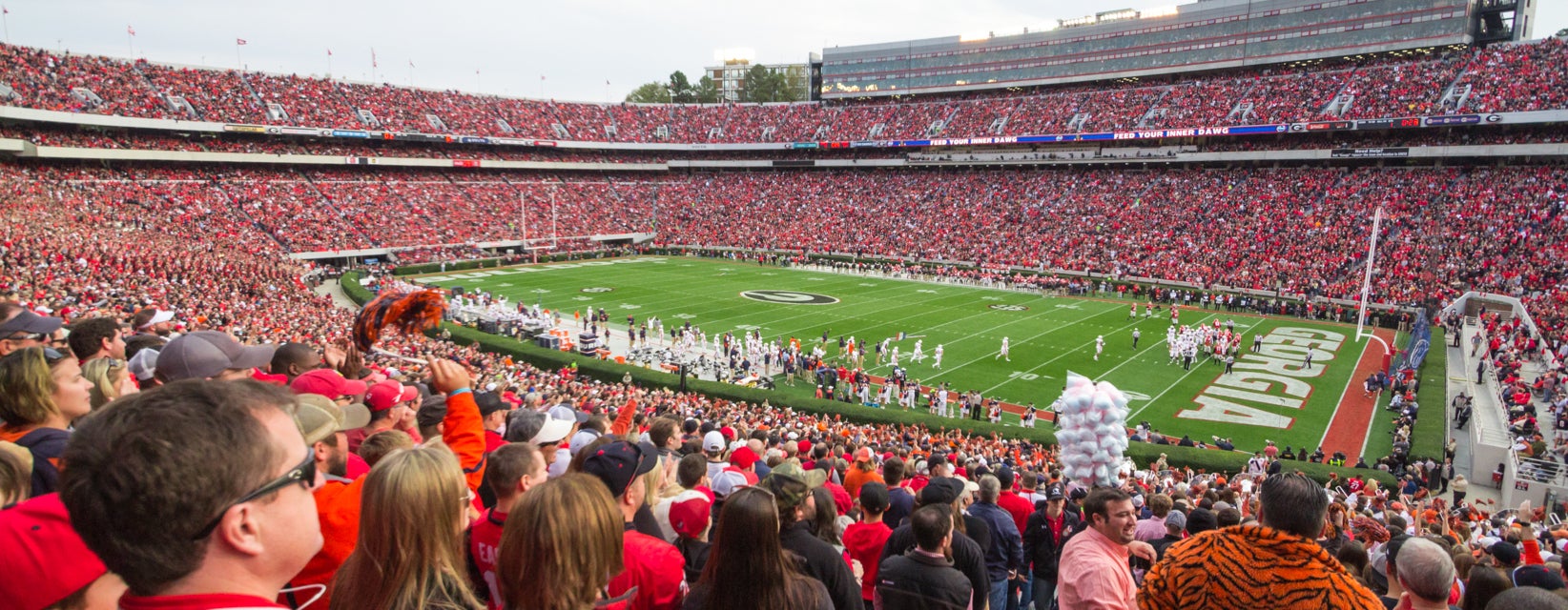 Seat view from Lower Sideline