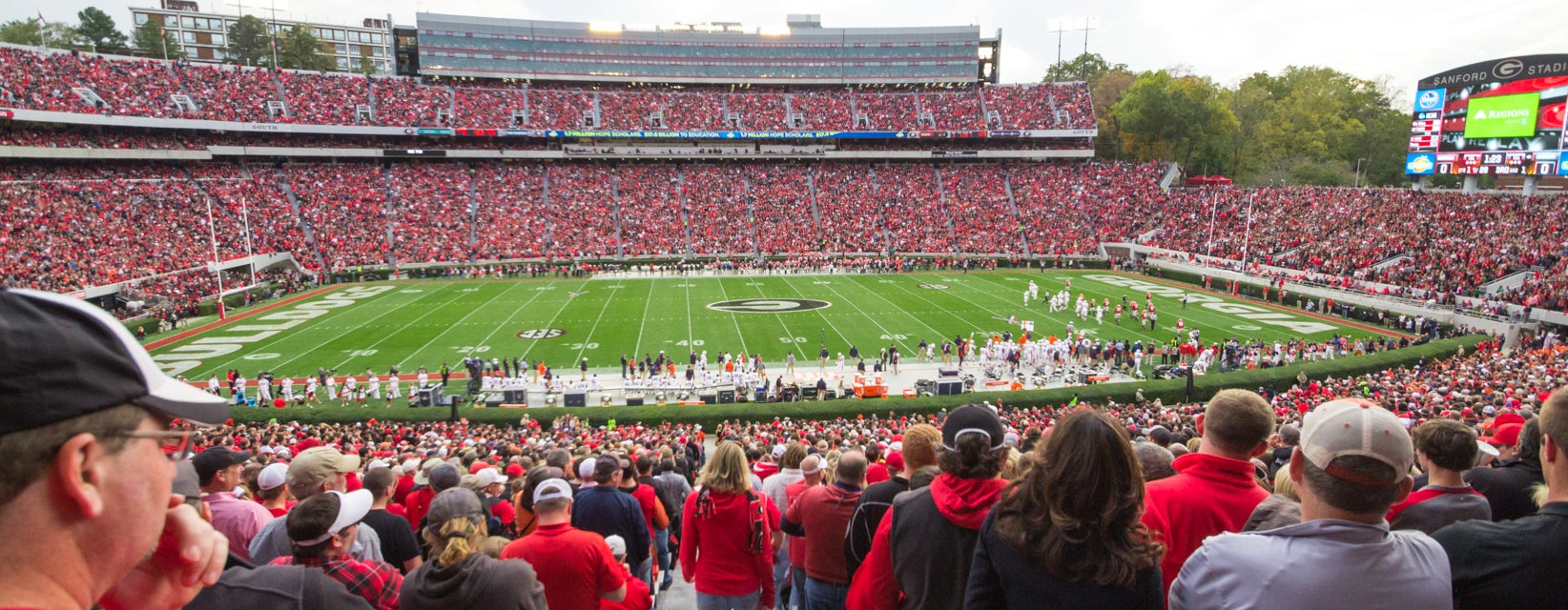 Seat view from Lower Sideline