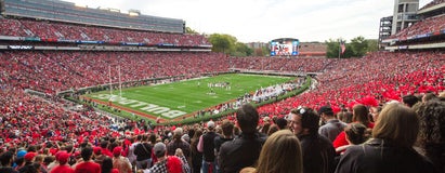 Seat view from Lower Sideline