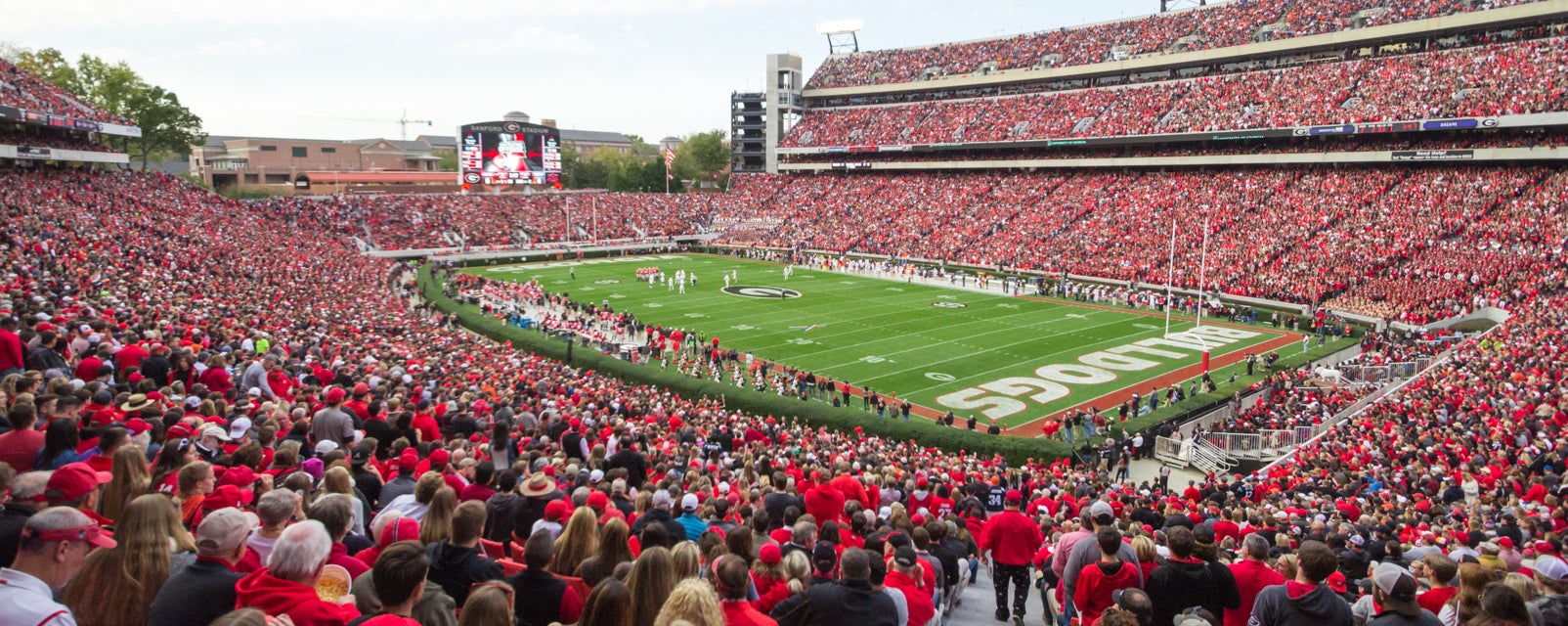 Seat view from Lower Sideline