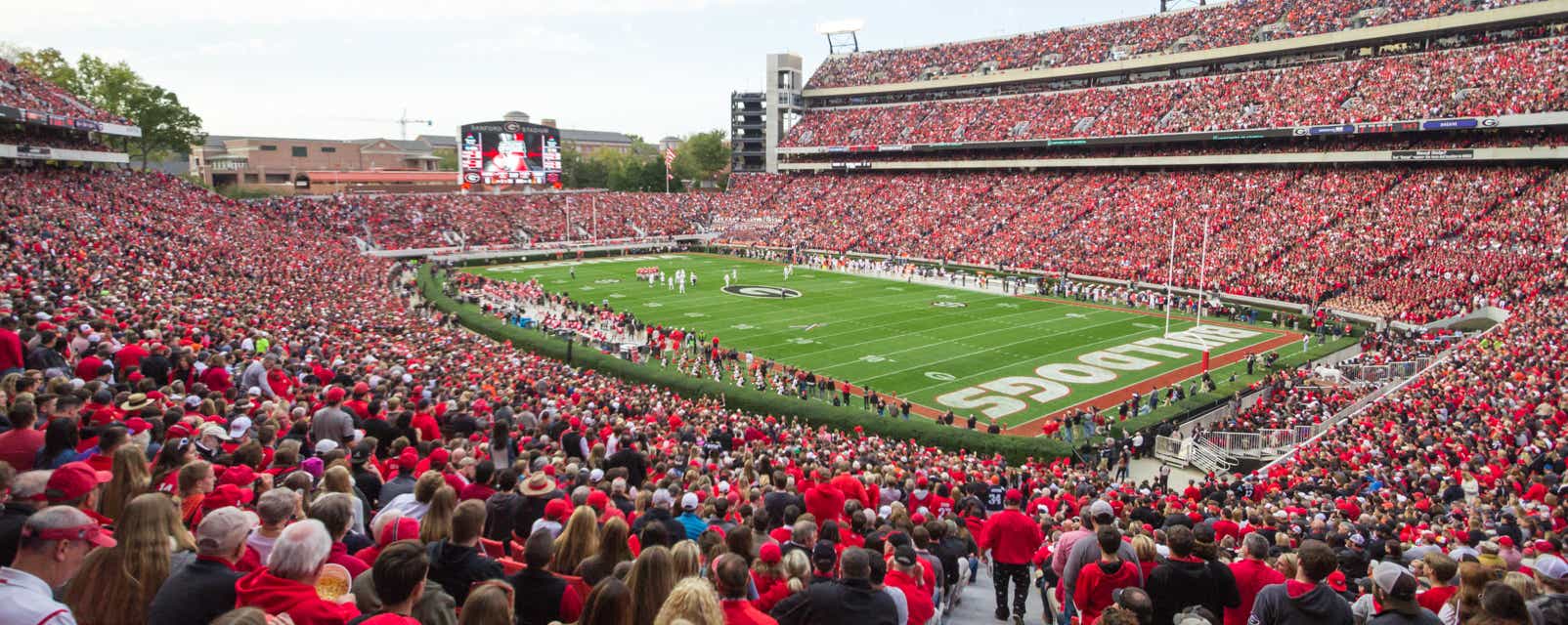 Seat view from Lower Sideline