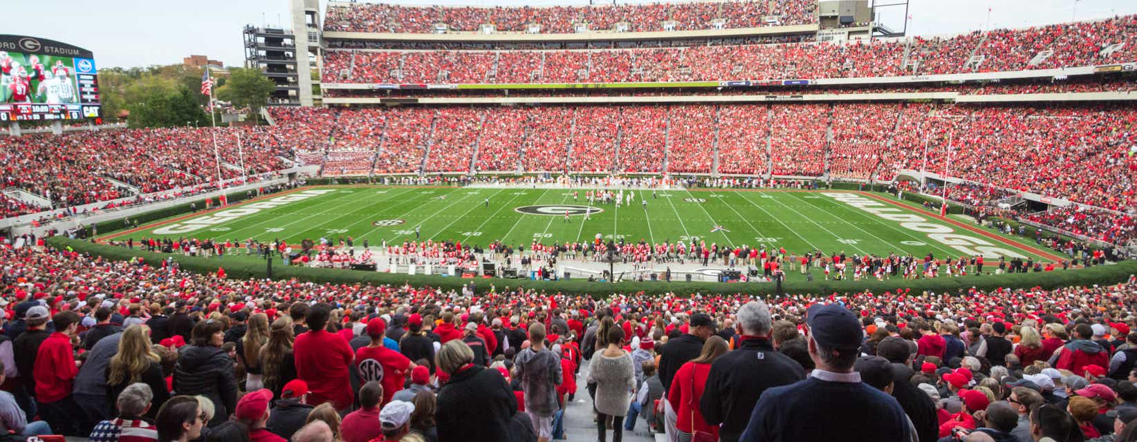Seat view from Lower Sideline