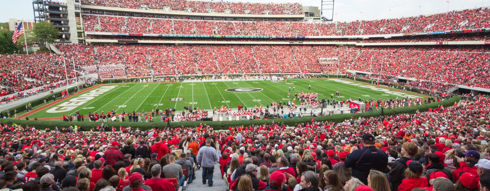 Seat view from Lower Sideline