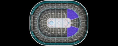 Seat view from Lower Corner