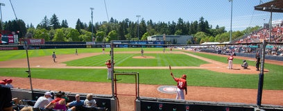 Seat view from Infield Box