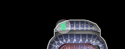 Seat view from Platinum