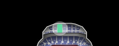 Seat view from Platinum