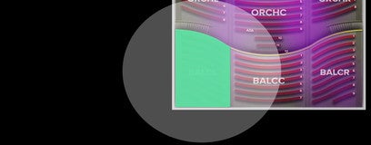 Seat view from Balcony