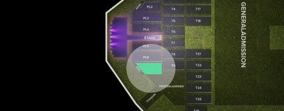 Seat view from Platinum