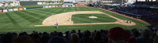 Seat view from Upper Dugout
