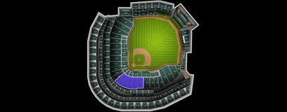 Seat view from 1B Home Plate Box