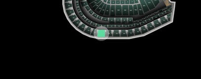 Seat view from Family Section