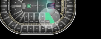 Seat view from Loge
