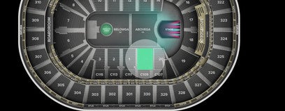 Seat view from Loge