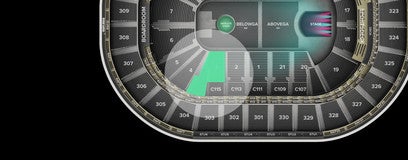 Seat view from Loge