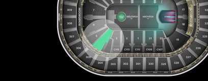 Seat view from Loge
