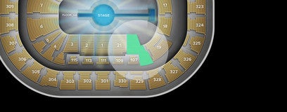 Seat view from Loge