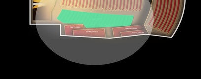 Seat view from Parterre