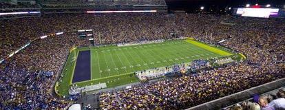 Seat view from Tiger Terrace