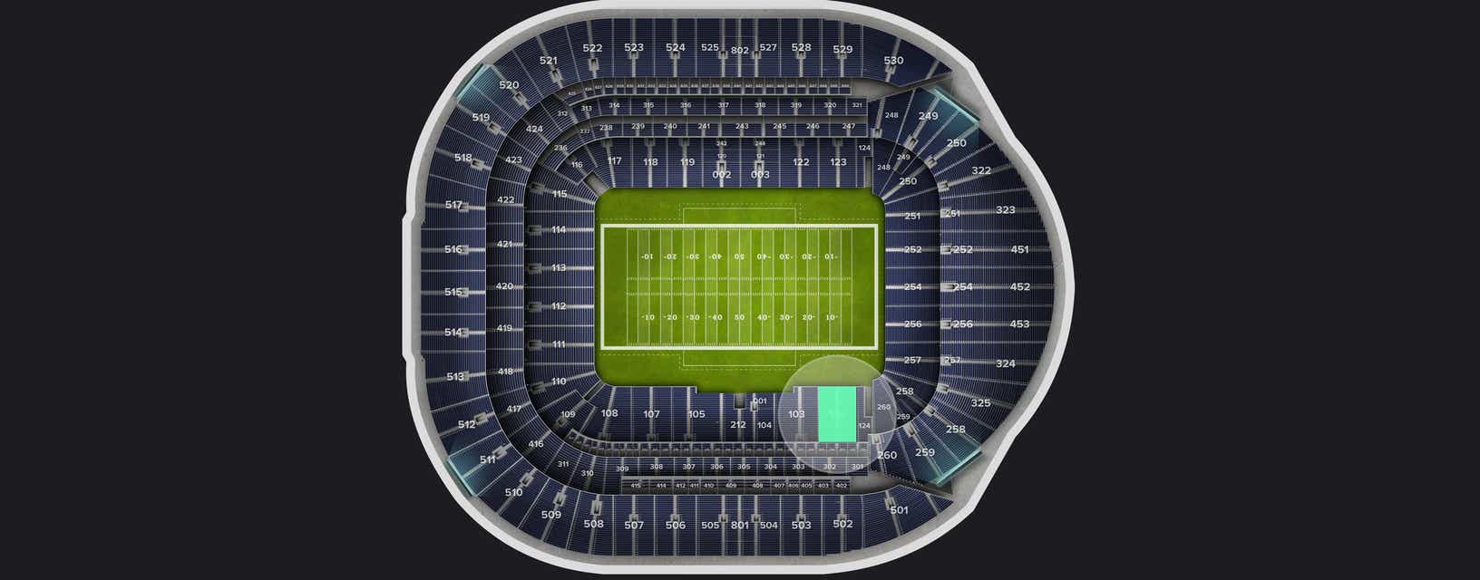 Seat view from Level 1