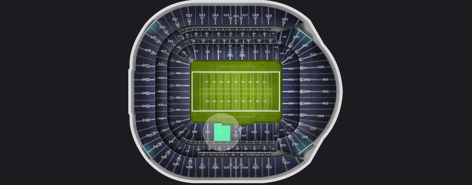 Seat view from Level 1