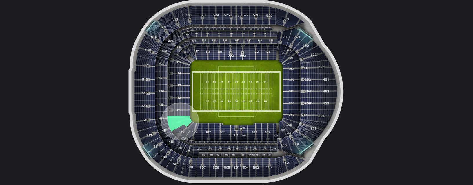 Seat view from Level 1