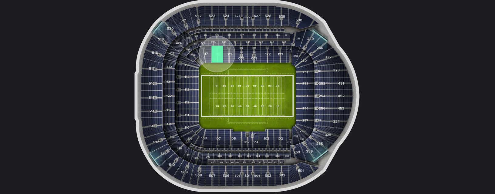 Seat view from Level 1