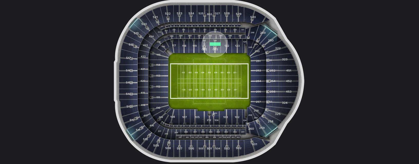 Seat view from Level 1