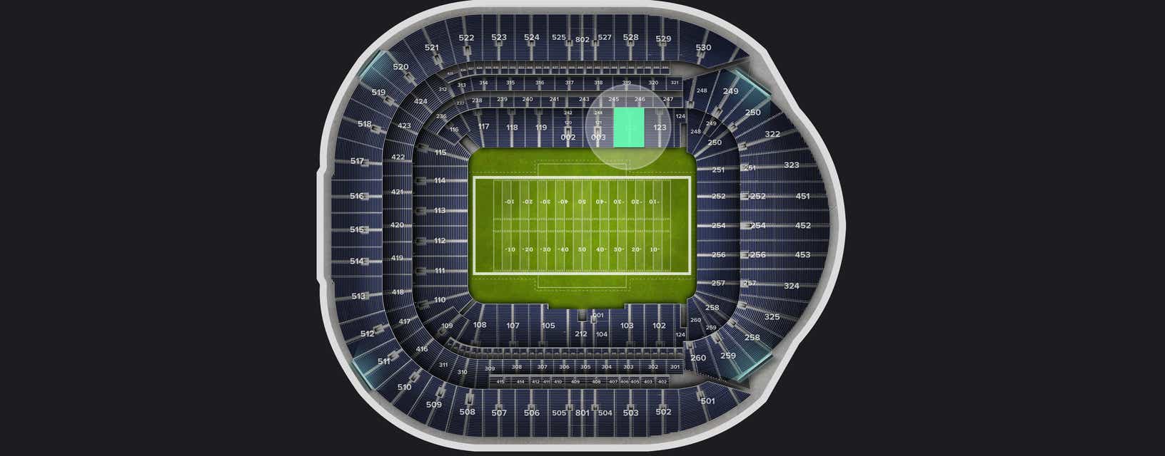 Seat view from Level 1
