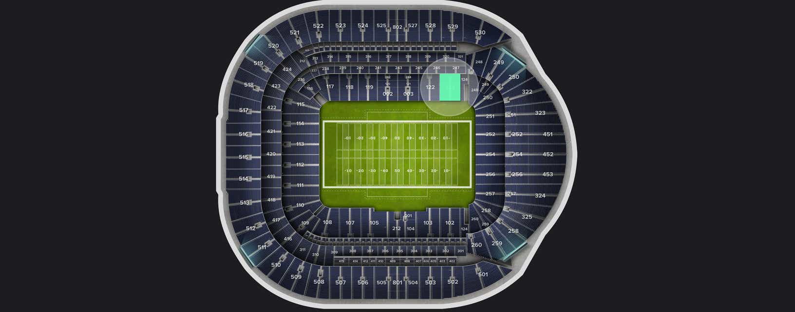 Seat view from Level 1
