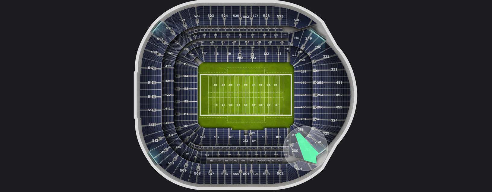 Seat view from Level 2 Premium