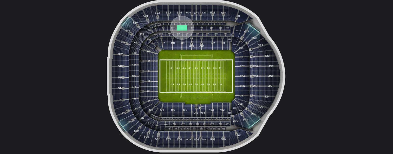 Seat view from VIP Packages