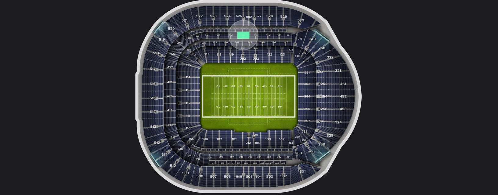 Seat view from VIP Packages