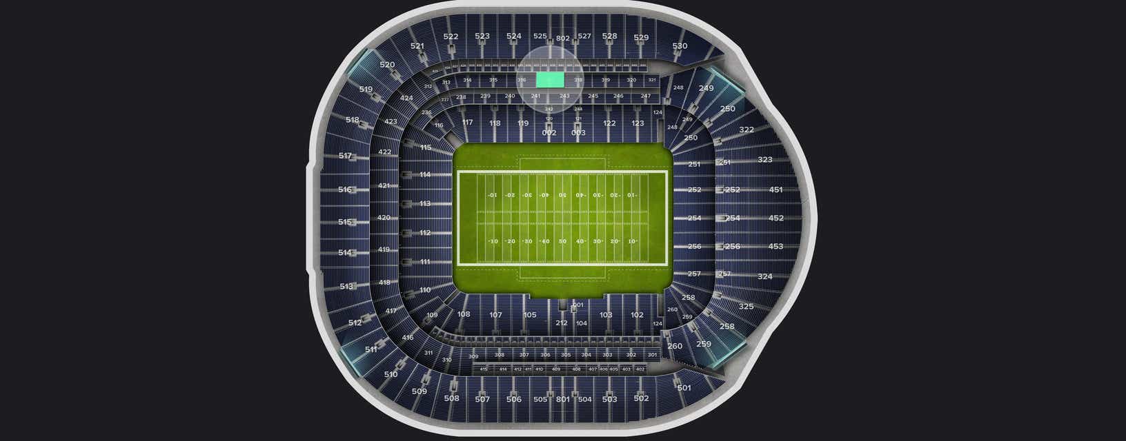 Seat view from VIP Packages