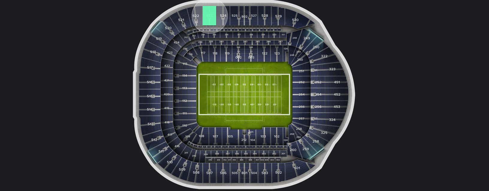 Seat view from Longside Upper