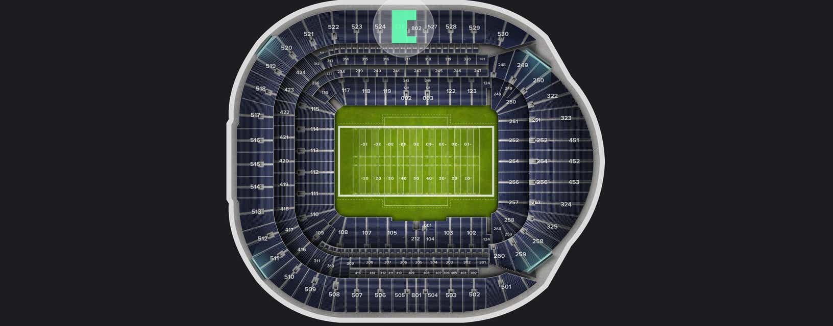 Seat view from Longside Upper