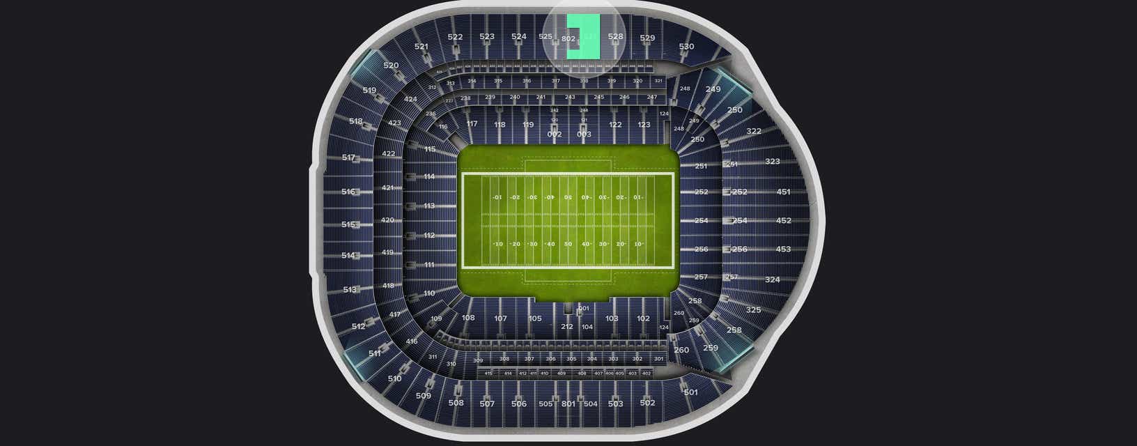 Seat view from Longside Upper