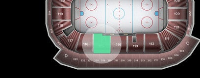 Seat view from Lower