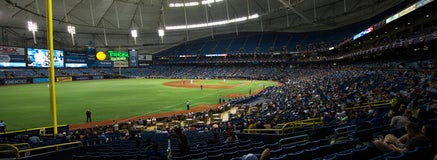 Seat view from Baseline Box