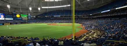 Seat view from Outfield Box