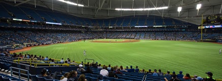 Seat view from Outfield Box