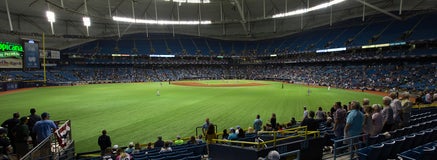 Seat view from Outfield Box